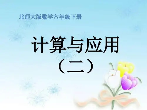北师大版六年级下册数学《计算与应用(二)》 (共13张PPT)