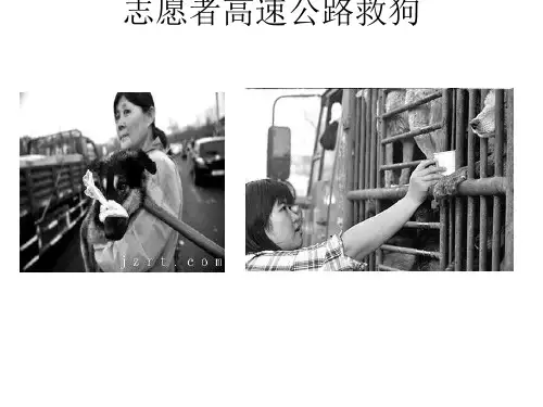 新教伦理与资本主义精神(PDF 28张)
