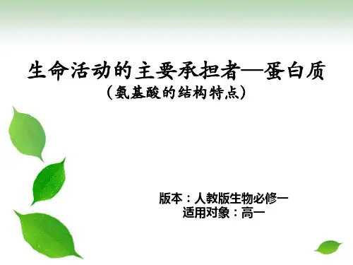 高一生物蛋白质氨基酸