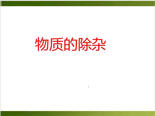 中考化学专题复习:物质的除杂15张