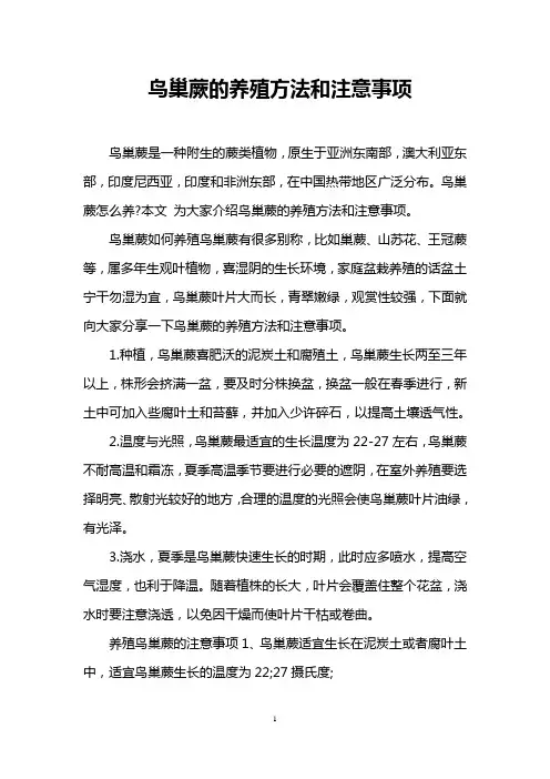 鸟巢蕨的养殖方法和注意事项