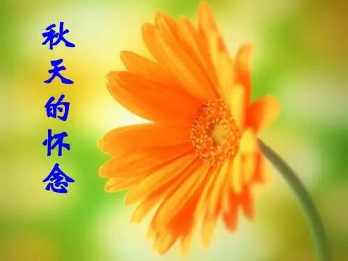 2、《秋天的怀念》