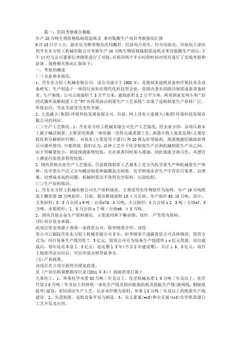 招商项目考察报告