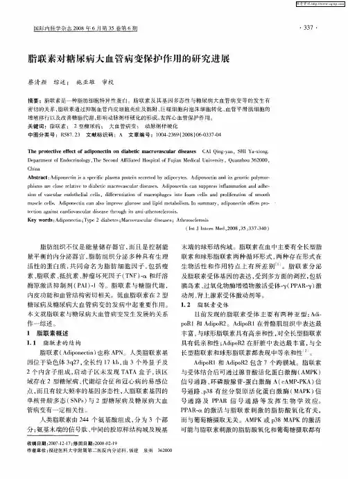 脂联素对糖尿病大血管病变保护作用的研究进展