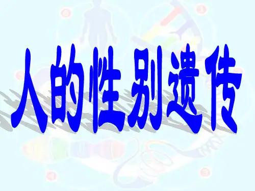 人的性别遗传_课件