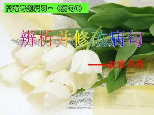 《辨析并修改病句4-表意不明