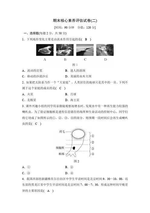华东师大版科学七年级上册 期末 核心素养评估试卷2(word版有答案)