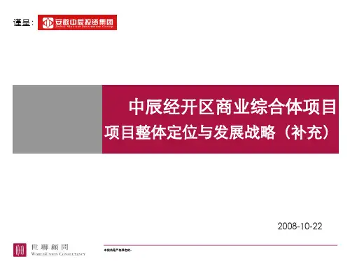 合肥中辰商业综合体项目项目整体定位与发展战略