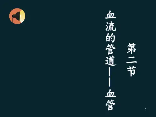 血流的管道——血管 ppt课件