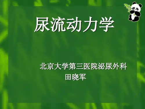 尿流动力学