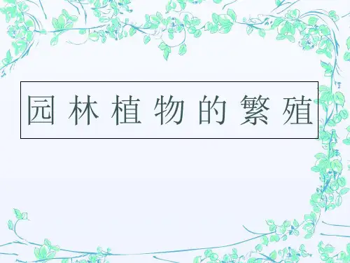 扦插繁殖育苗技术