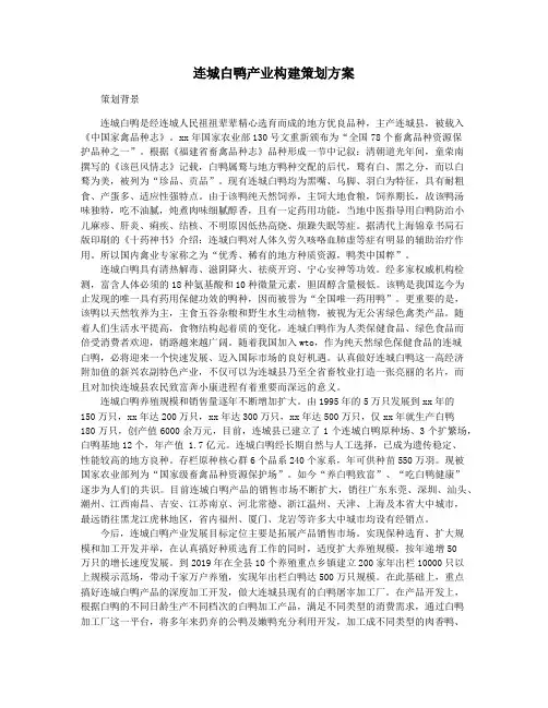 连城白鸭产业构建策划方案