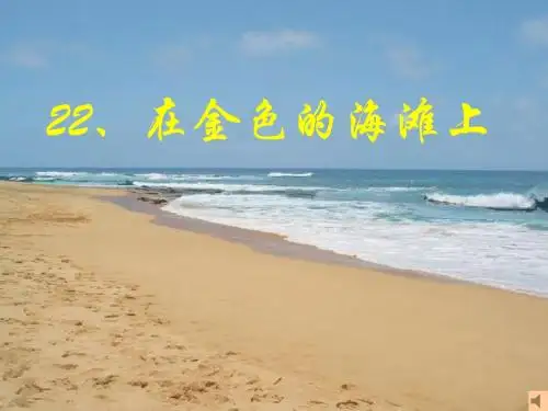 在金色的沙滩上1
