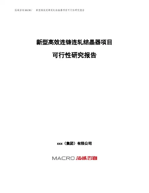 (投资参考建议模板)新型高效连铸连轧结晶器项目可行性研究报告