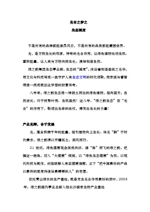 公司宣传片(定稿)
