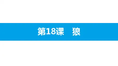 狼PPT教学课件