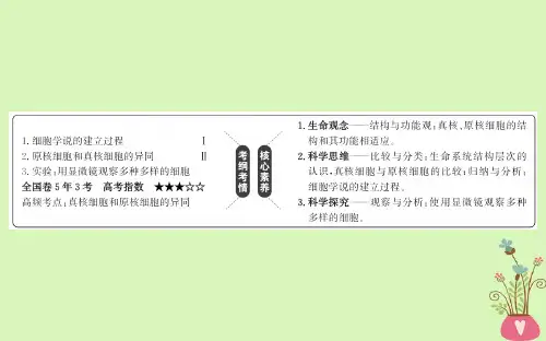 2019届高考生物一轮复习走近细胞及组成细胞的分子第1课走近细胞课件新人教版