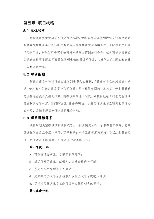第五章 项目战略