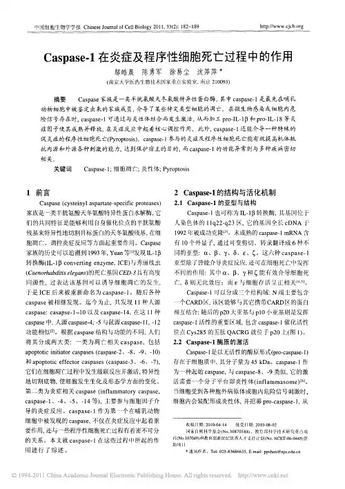 Caspase_1在炎症及程序性细胞死亡过程中的作用