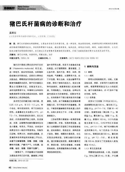 猪巴氏杆菌病的诊断和治疗