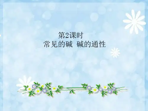 人教版九年级化学下册课件-10.1 常见的酸和碱