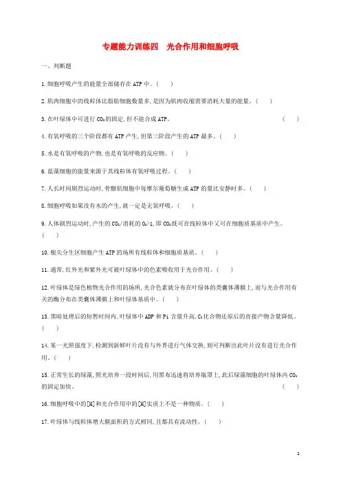 2019年高考生物二轮复习专题能力训练4光合作用和细胞呼吸(含答案)