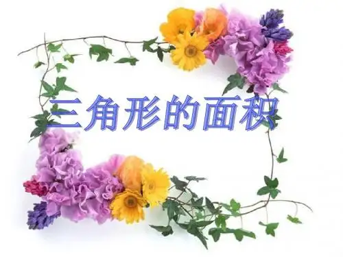 三角形的面积