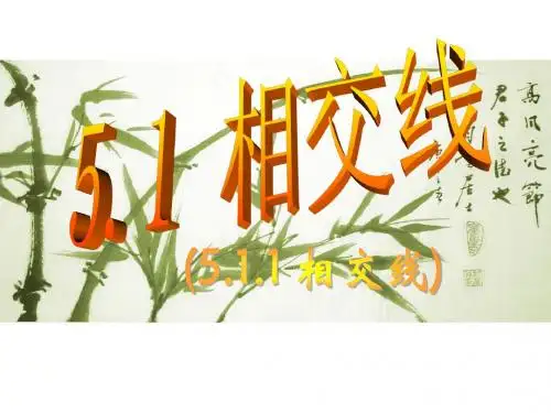 实用的5.1_相交线(第1课时)--