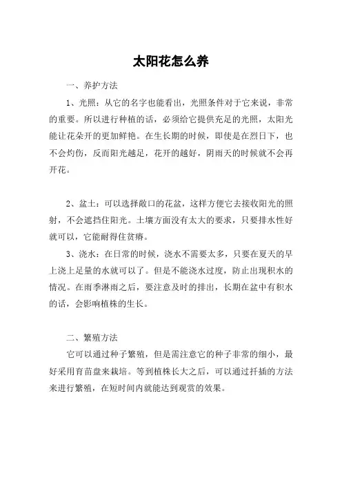 太阳花怎么养_1