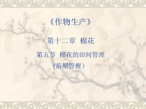棉花的田间管理 说课