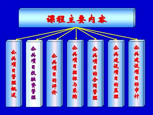 公共项目投融资管理讲义