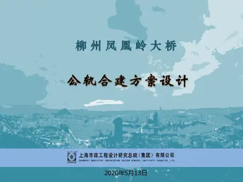 柳州市凤凰岭大桥工程-汇报