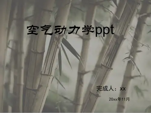 空气动力学ppt