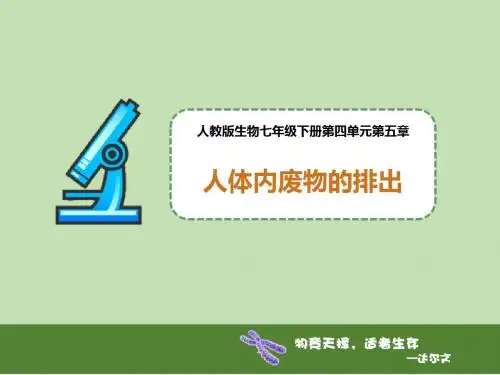 5447.人教版初中生物第四单元第五章《人体内废物的排出》课件课件