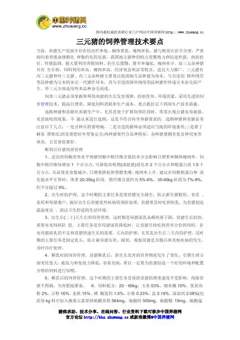 三元猪的饲养管理技术要点