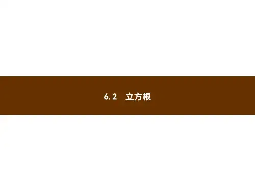 人教版七年级下数学课件6.2