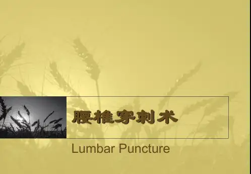 腰椎穿刺术【精品-PPT】