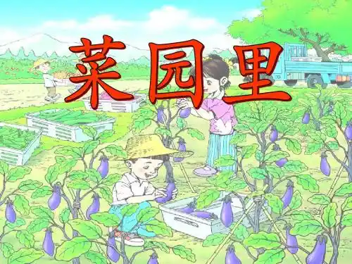 菜园里 PPT课件