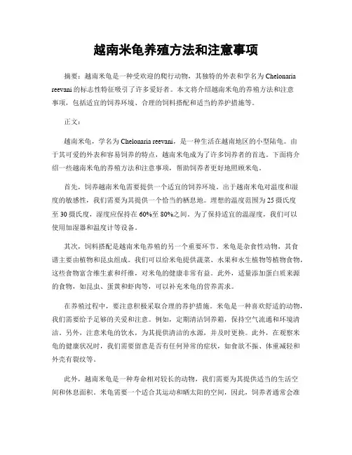 越南米龟养殖方法和注意事项