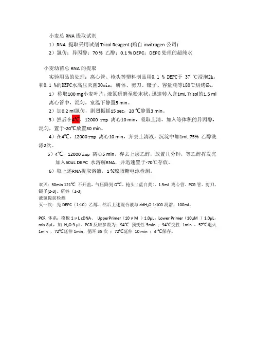 RNA提取 2