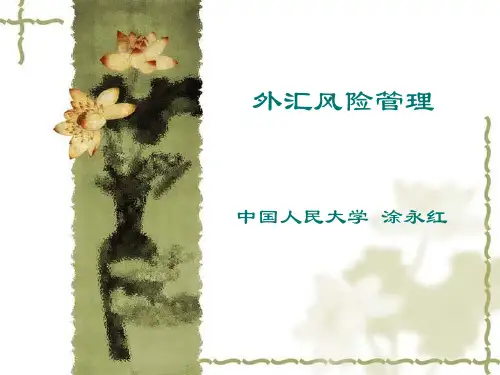 外汇风险管理