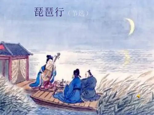 九年级语文琵琶行PPT优秀课件