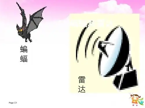 11.蝙蝠和雷达课件