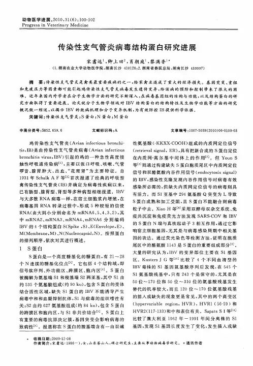 传染性支气管炎病毒结构蛋白研究进展