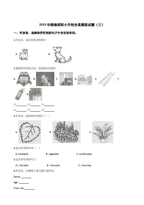 六年级下册英语试题：2019年湖南邵阳小升初全真模拟试卷(三)人教(PEP)含答案