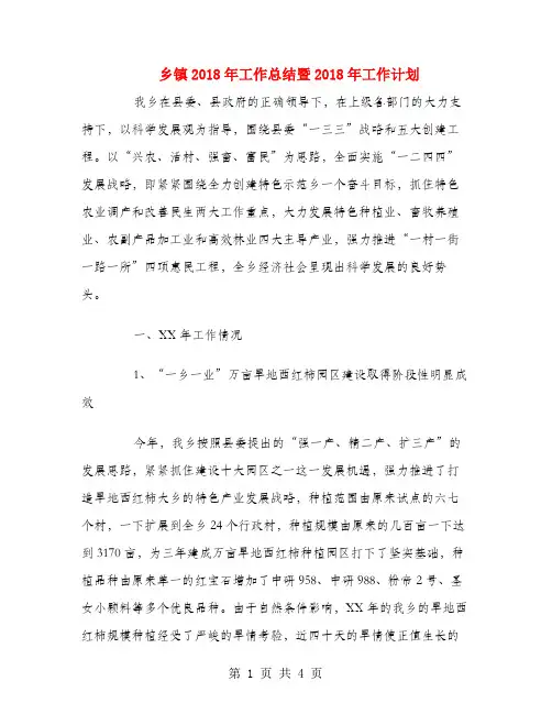 乡镇2018年工作总结暨2019年工作计划