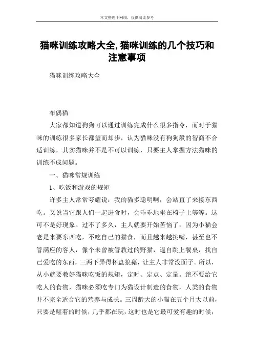 猫咪训练攻略大全,猫咪训练的几个技巧和注意事项