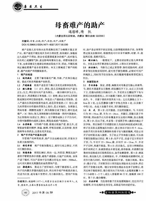 母畜难产的助产