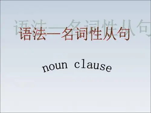 宾语从句(经典)讲义.
