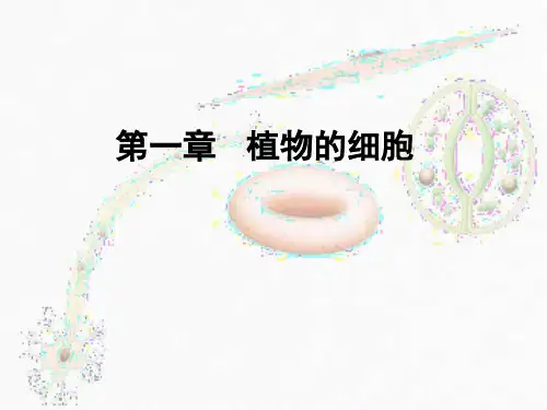 1药用植物学-植物的细胞